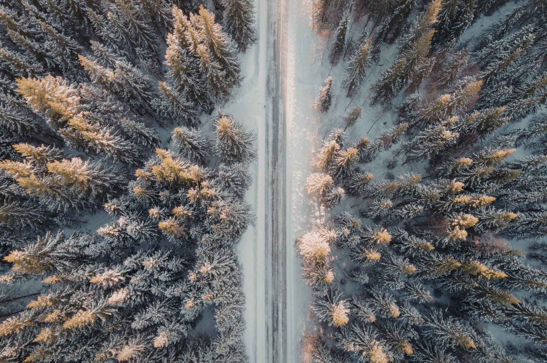 Stop, Drop, and Stay the Course